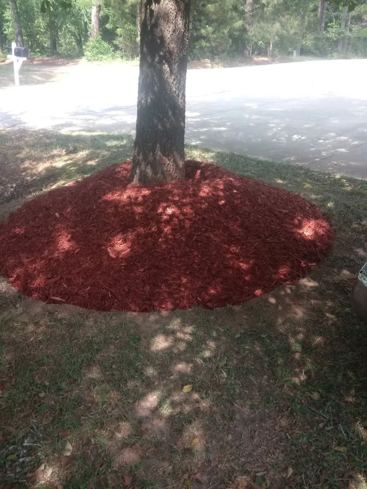 Reliable yard maintenance in Willow Spring, NC by Raymundos Landscape