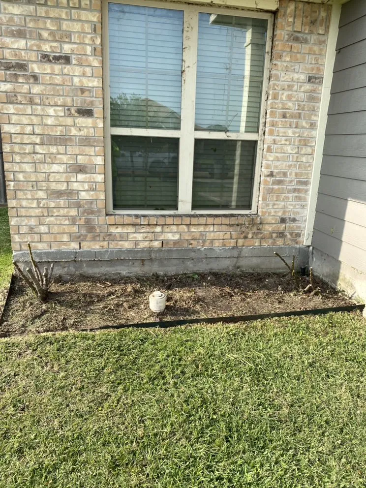Local yard cleanup service experts serving Navasota, TX - Raymundo’s Lawn Care Services