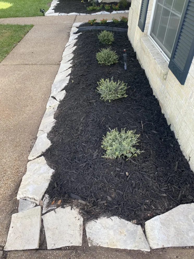 Top-rated lawn care service in Navasota, TX by Raymundo’s Lawn Care Services