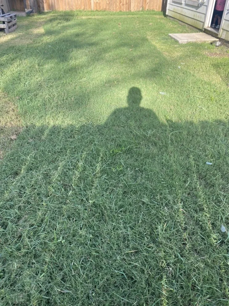 Top-rated landscaping services experts serving Navasota, TX - Raymundo’s Lawn Care Services