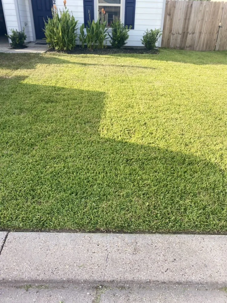 Expert lawn mowing service for residential properties in Navasota, TX by Raymundo’s Lawn Care Services