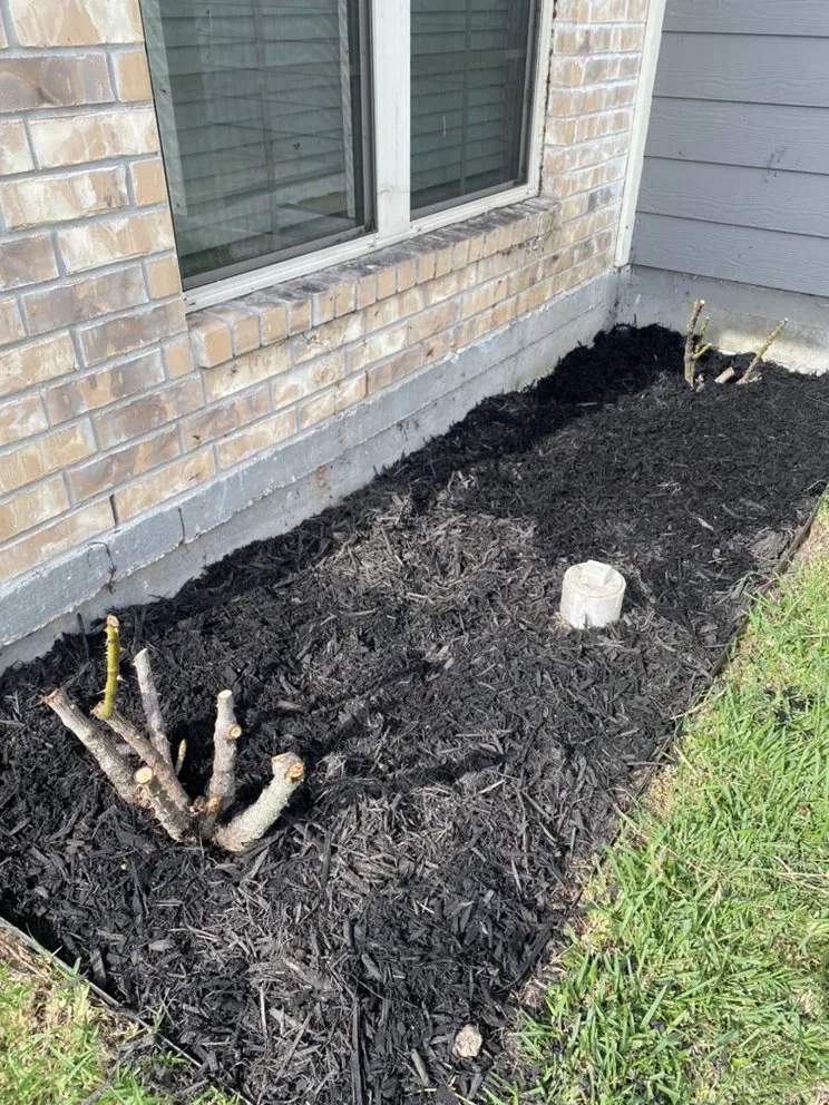 Affordable landscape installation for outdoor upgrades across Navasota, TX - Raymundo’s Lawn Care Services