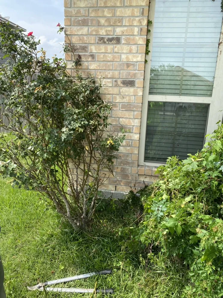 Reliable lawn care service experts serving Navasota, TX - Raymundo’s Lawn Care Services