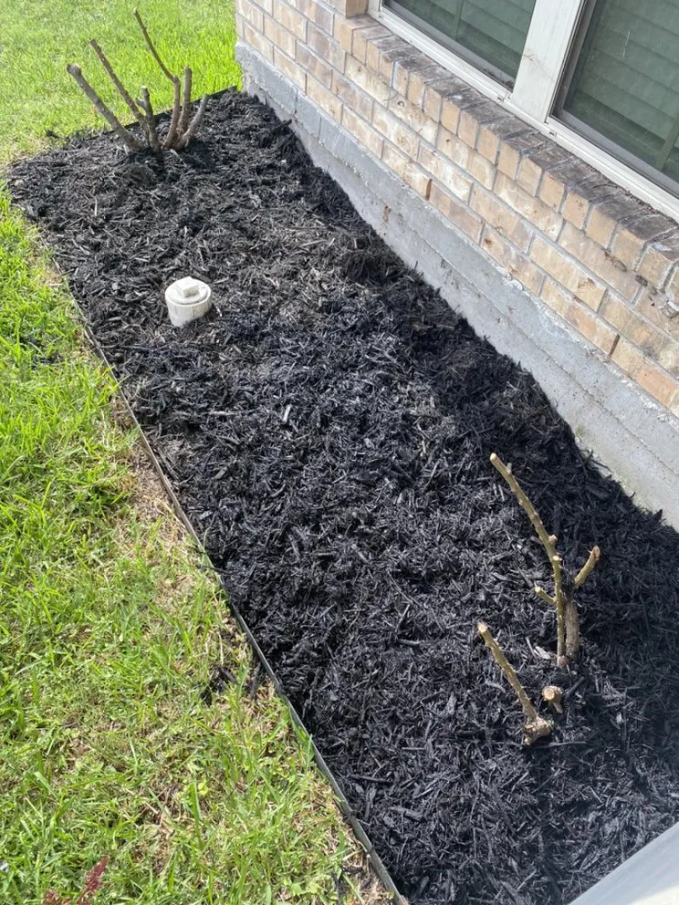 Expert landscaping services for year-round maintenance across Navasota, TX - Raymundo’s Lawn Care Services