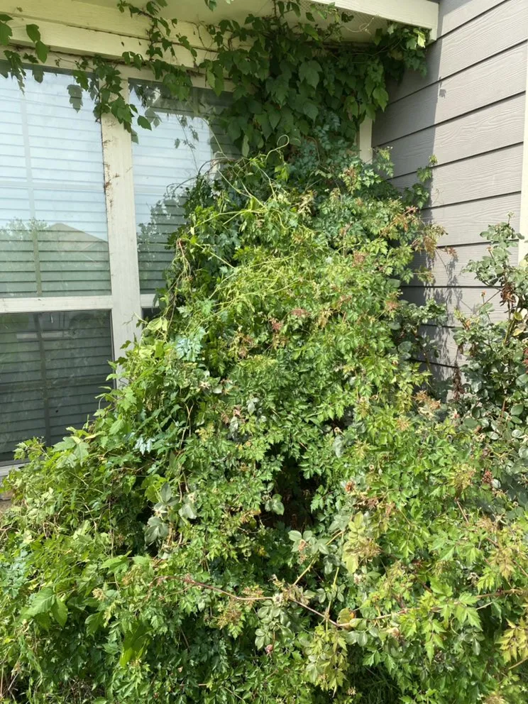 Trusted landscaping services in Navasota, TX - Raymundo’s Lawn Care Services