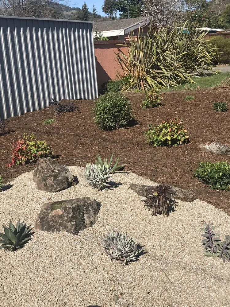 Local landscaping services experts serving Novato, CA - Rayner Landscaping