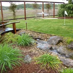 Expert yard maintenance near you in Novato, CA by Rayner Landscaping