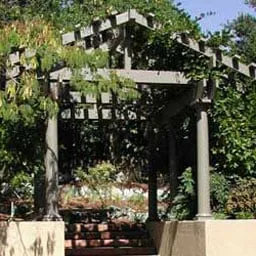 Local landscape installation for beautiful yards in Novato, CA by Rayner Landscaping