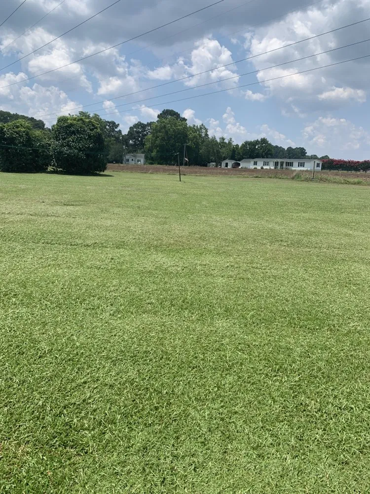 Local lawn care service for beautiful yards across Goldsboro, NC - Raynor Lawn Care and Pressure Washing