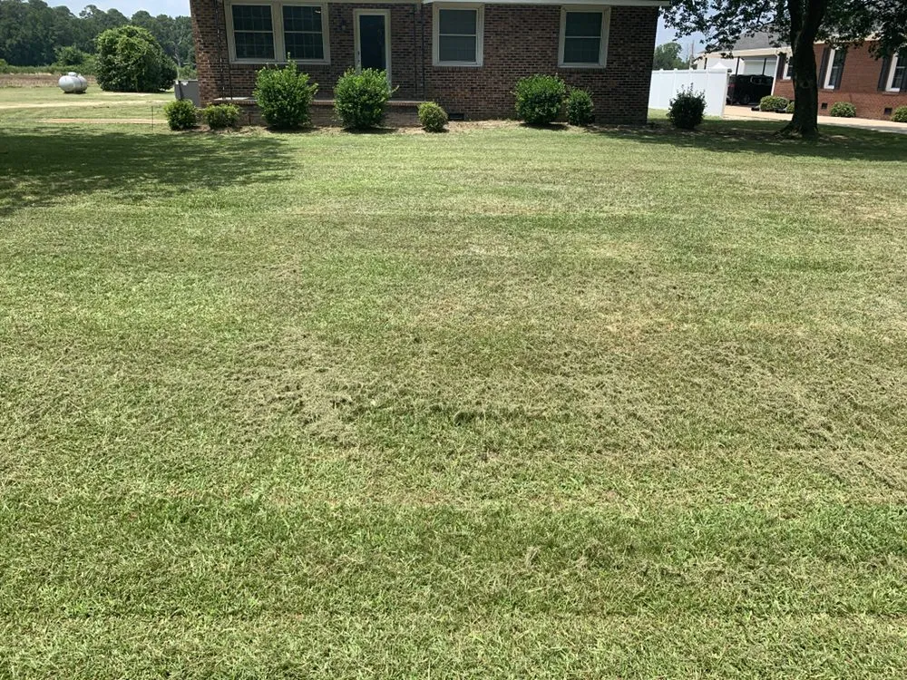 Expert landscape design in Goldsboro, NC by Raynor Lawn Care and Pressure Washing