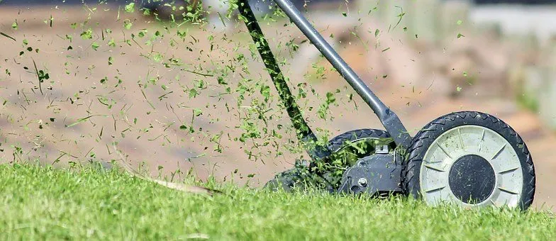 Affordable lawn care service for year-round maintenance across Goldsboro, NC - Raynor Lawn Care and Pressure Washing