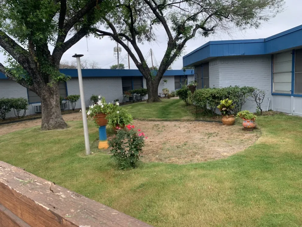 Expert landscaping services in Dale, TX - Rayon Landscaping