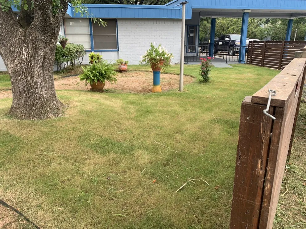 Professional yard cleanup service for homes in Dale, TX by Rayon Landscaping