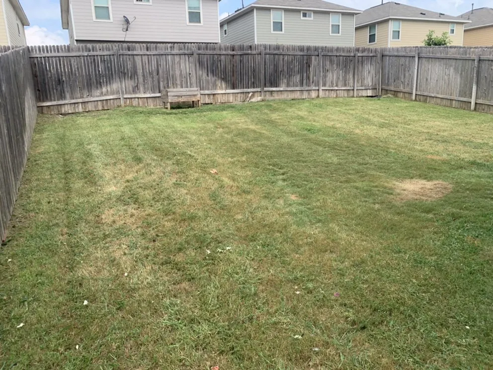 Expert residential landscaping with custom design in Dale, TX by Rayon Landscaping