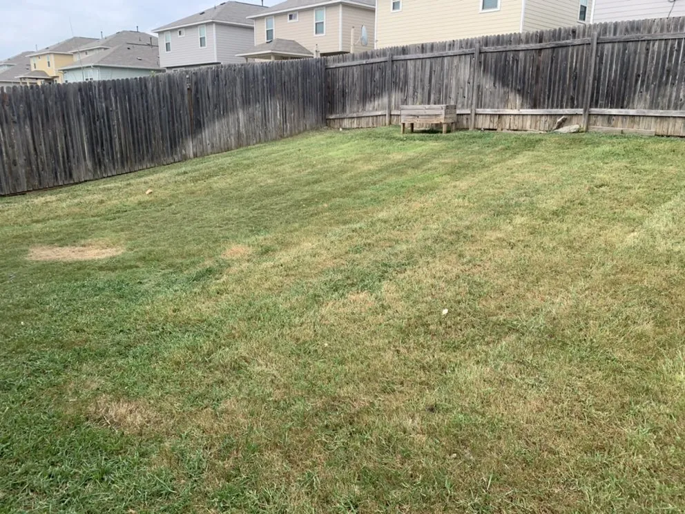 Local garden landscaping experts serving Dale, TX - Rayon Landscaping