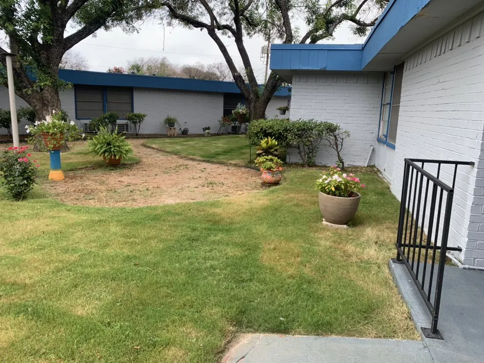 Custom yard maintenance in Dale, TX - Rayon Landscaping