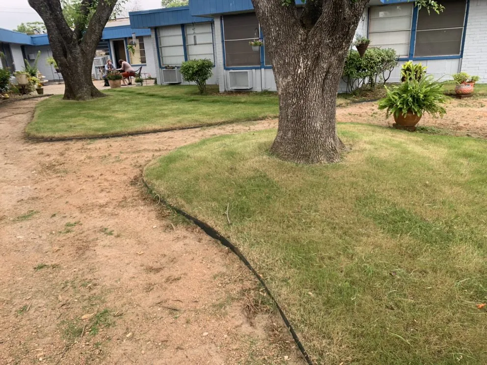 Professional garden landscaping experts serving Dale, TX - Rayon Landscaping