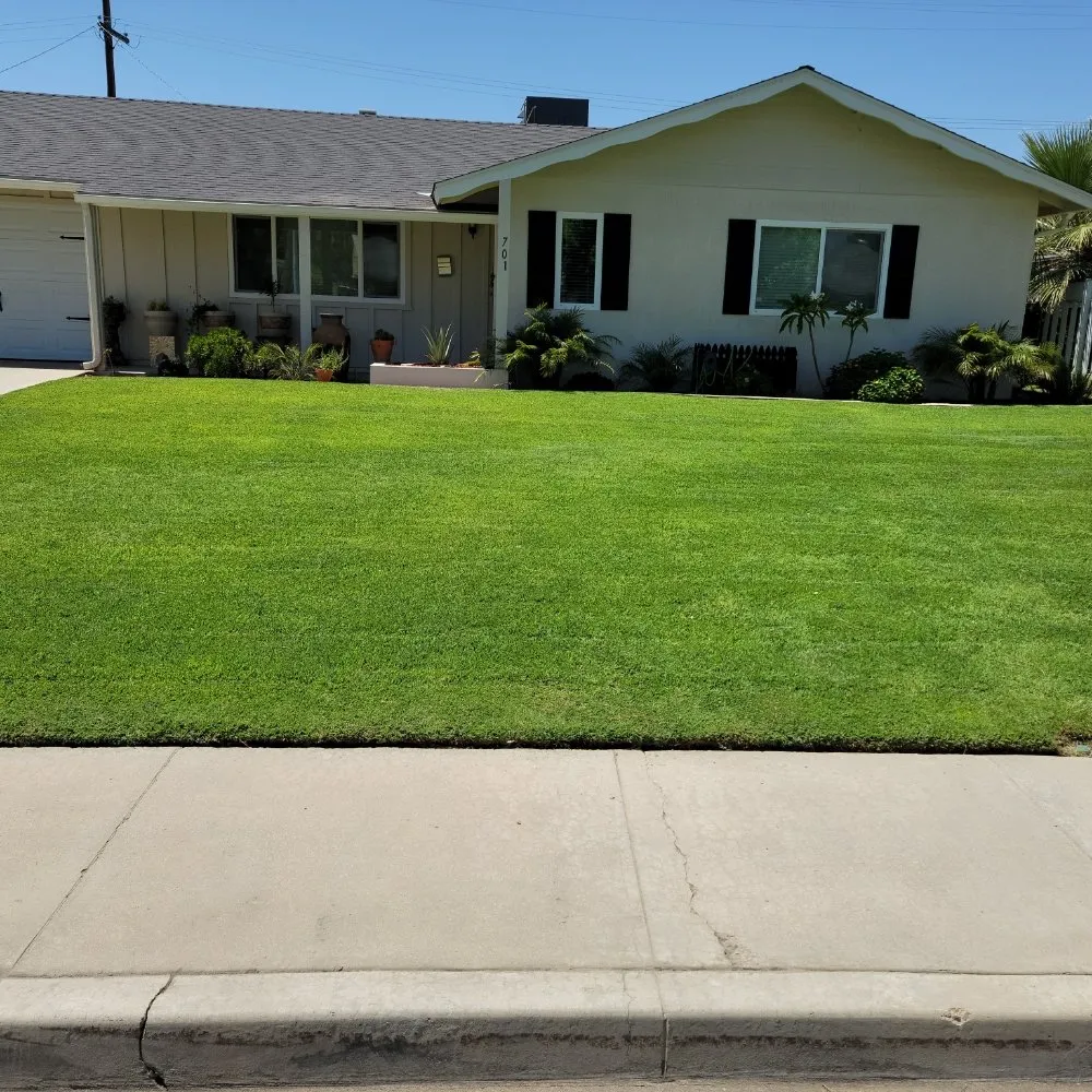 Reliable yard cleanup service in Bakersfield, CA - Rayos Landscaping & Gardening
