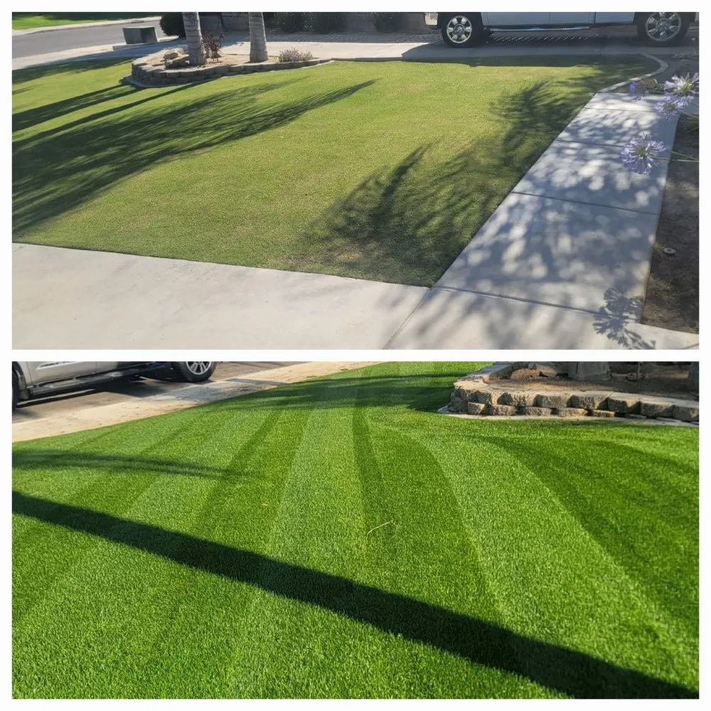 Top-rated residential landscaping in Bakersfield, CA - Rayos Landscaping & Gardening