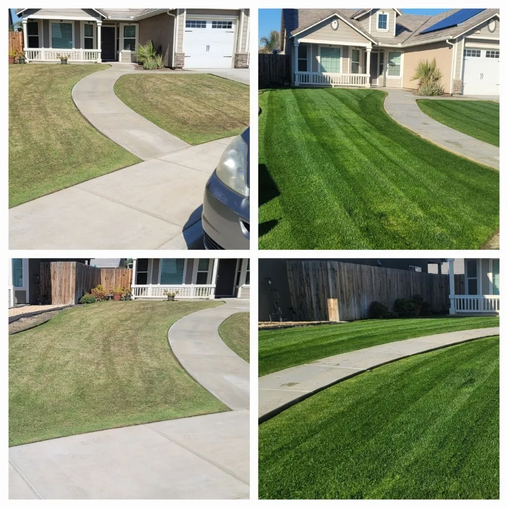 Local outdoor landscaping for year-round maintenance in Bakersfield, CA by Rayos Landscaping & Gardening