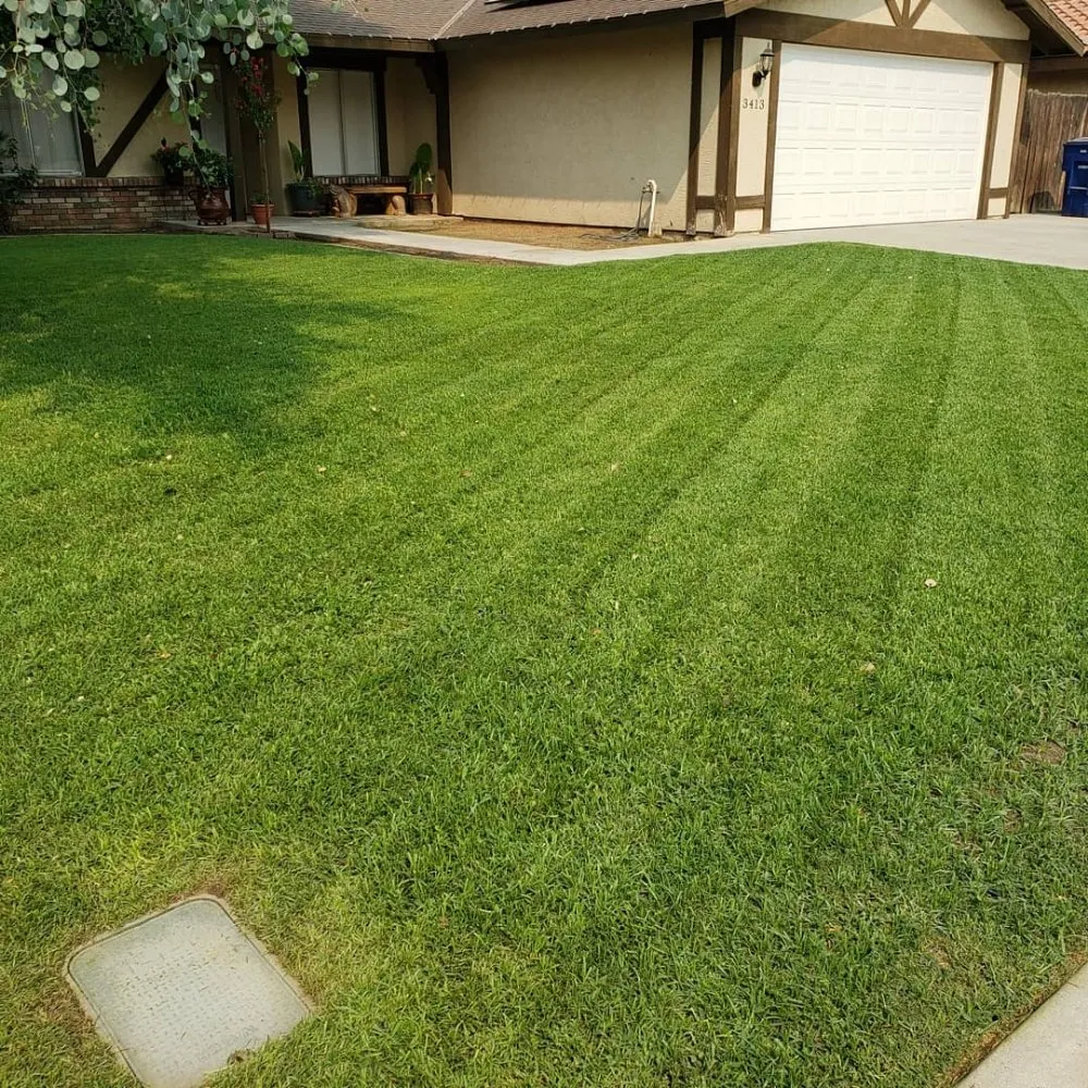 Custom landscape installation in Bakersfield, CA - Rayos Landscaping & Gardening
