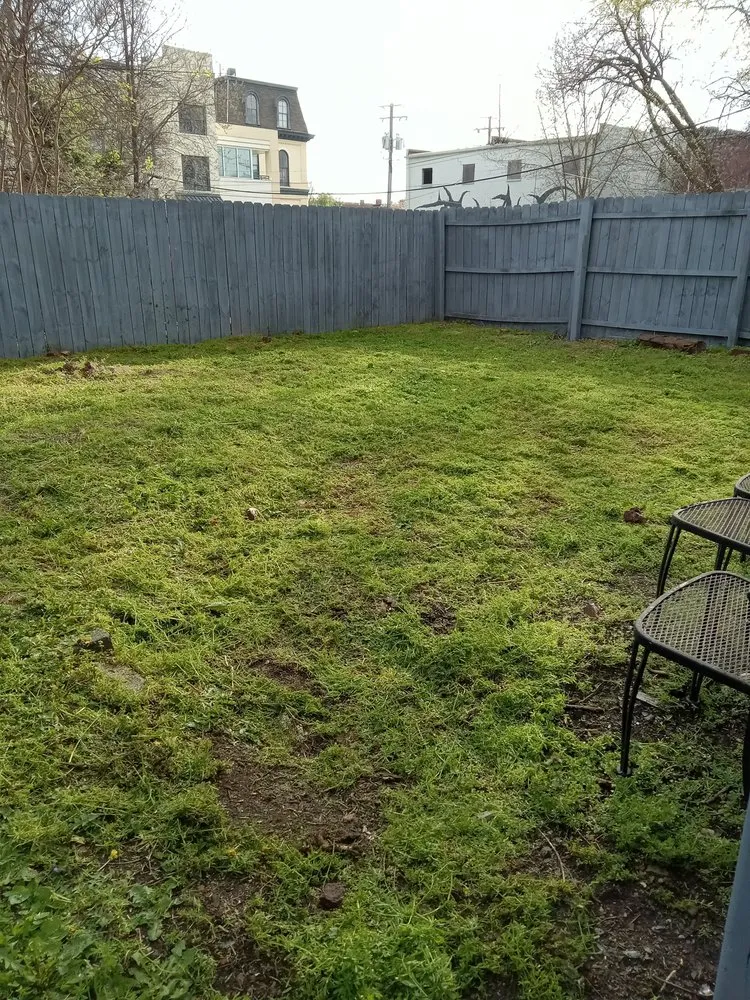 Reliable yard cleanup service experts serving Quinton, VA - Ray's Affordable Lawn Care