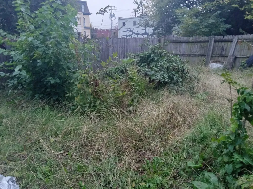Affordable yard maintenance in Quinton, VA - Ray's Affordable Lawn Care