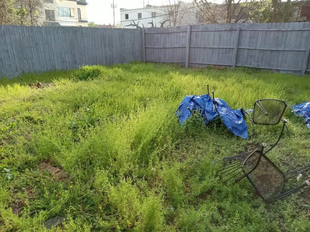 Top-rated yard maintenance for homes in Quinton, VA by Ray's Affordable Lawn Care