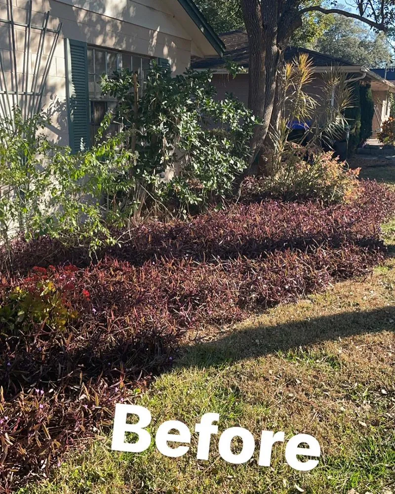 Local yard cleanup service experts serving Altamonte Springs, FL - Ray's Budget Cuts