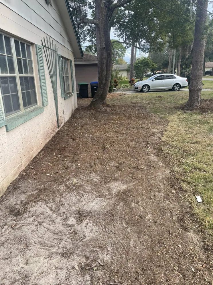 Reliable residential landscaping experts serving Altamonte Springs, FL - Ray's Budget Cuts