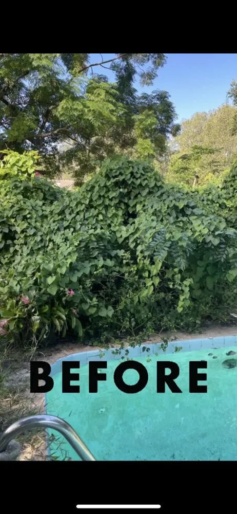 Reliable residential landscaping in Altamonte Springs, FL by Ray's Budget Cuts