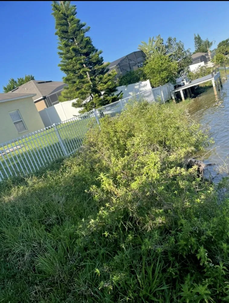 Local landscape installation in Altamonte Springs, FL by Ray's Budget Cuts