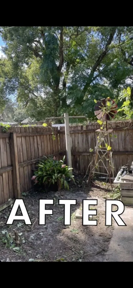 Custom yard cleanup service in Altamonte Springs, FL by Ray's Budget Cuts