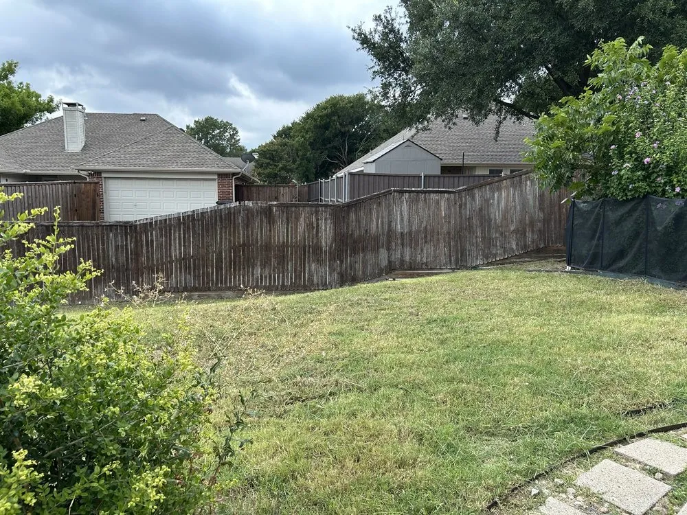 Local yard cleanup service experts serving Dallas, TX - Rays Contracting