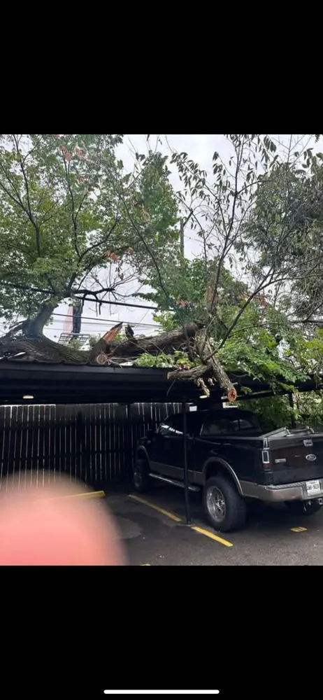 Top-rated landscaping services with custom design in Dallas, TX by Rays Contracting