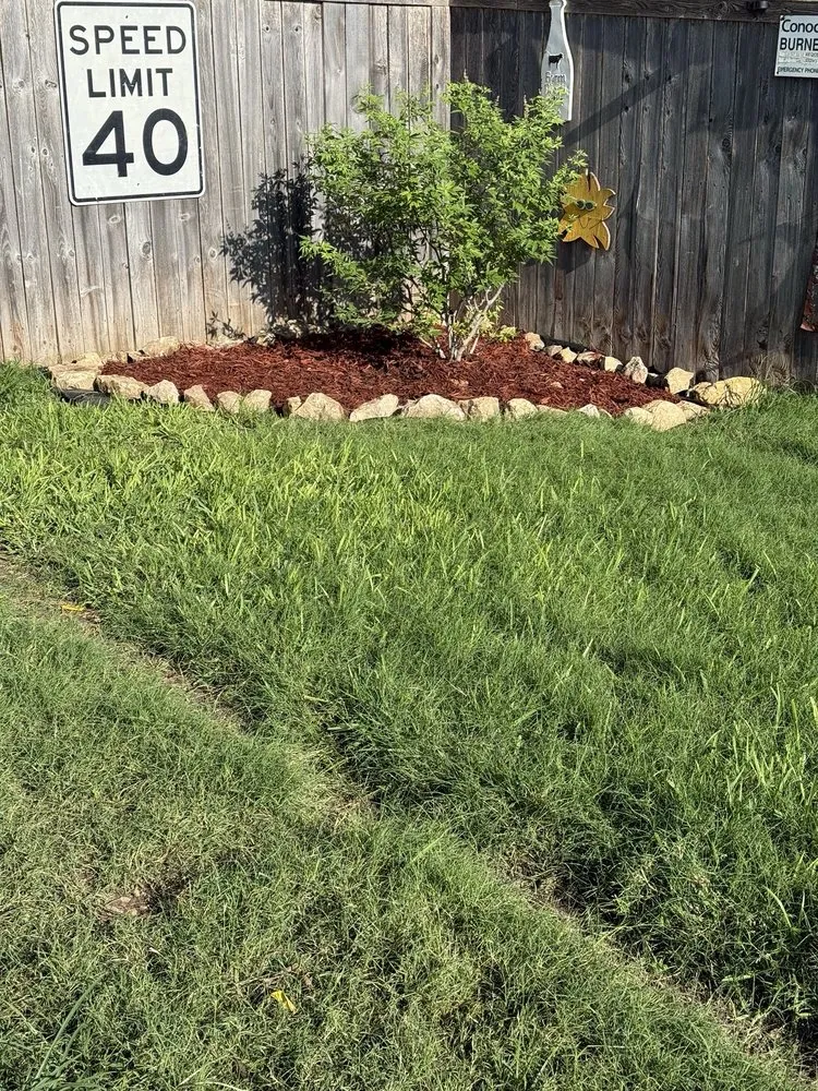 Affordable yard cleanup service in Dallas, TX by Rays Contracting