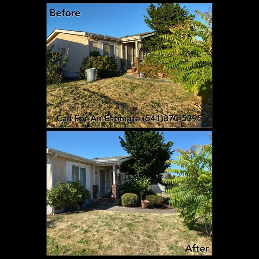 Top-rated residential landscaping near you across Eugene, OR - Ray's Fresh Cut Lawn Care