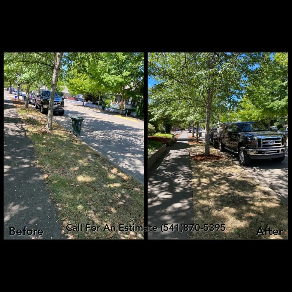 Expert residential landscaping with custom design across Eugene, OR - Ray's Fresh Cut Lawn Care