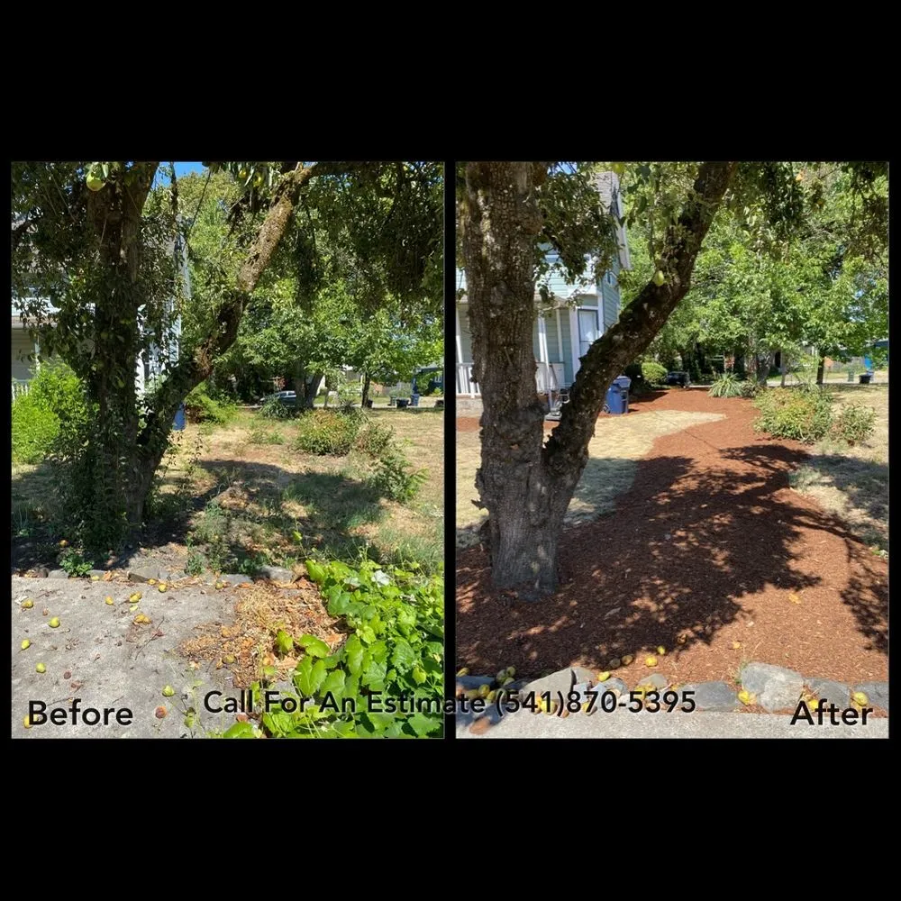 Professional yard cleanup service for homes across Eugene, OR - Ray's Fresh Cut Lawn Care