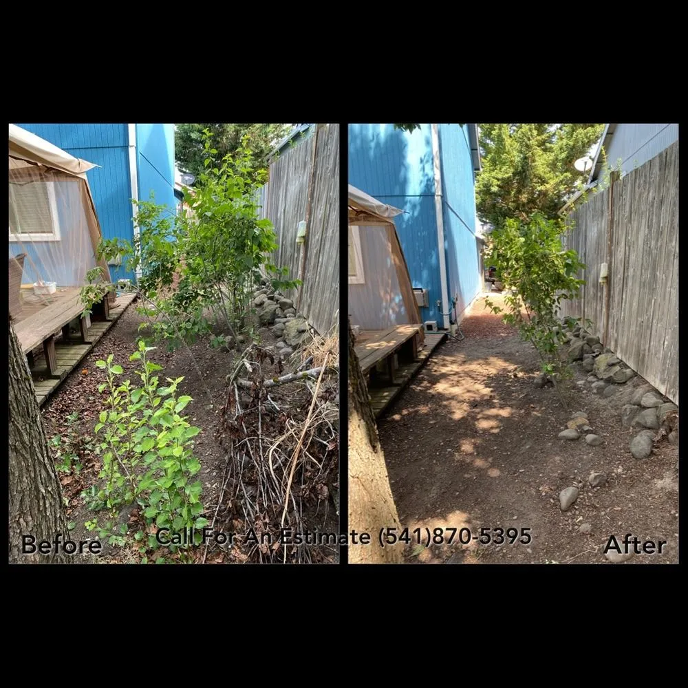 Top-rated yard maintenance for residential properties in Eugene, OR by Ray's Fresh Cut Lawn Care