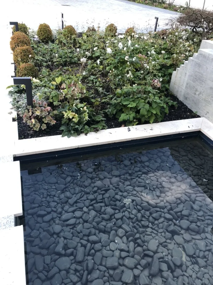 Top-rated garden landscaping experts serving Redwood City, CA - Ray’s Gardening Service