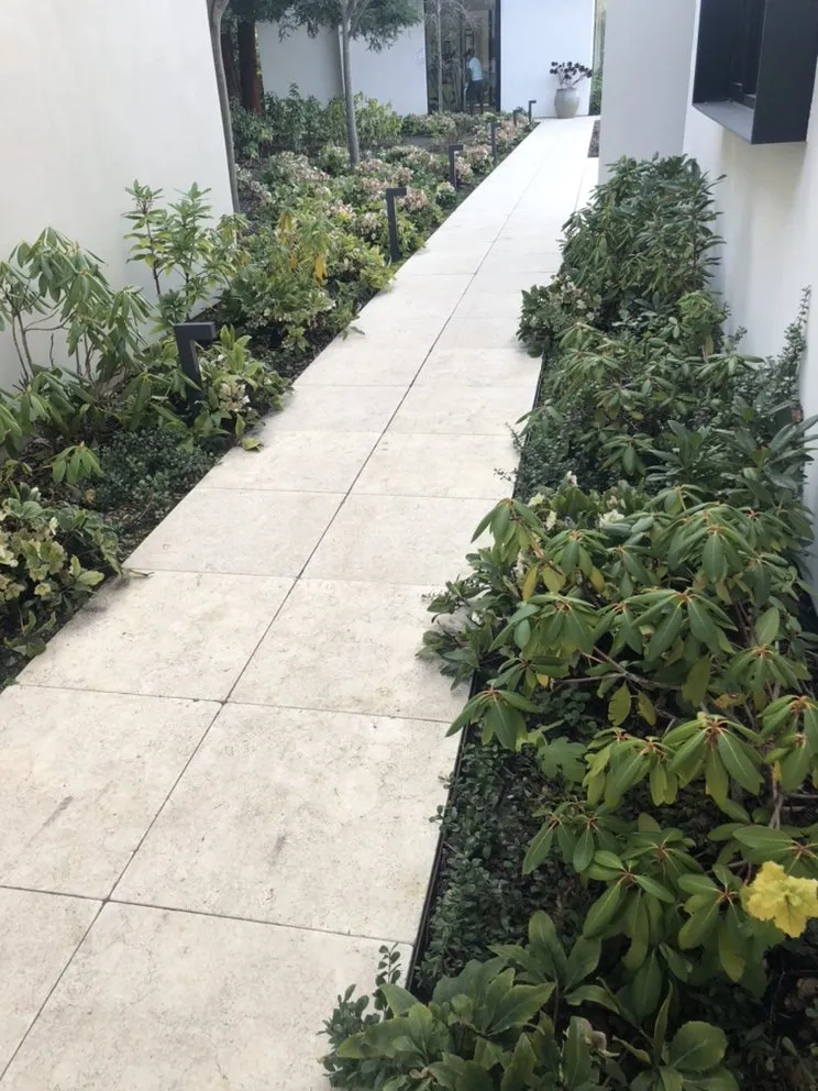 Trusted garden landscaping experts serving Redwood City, CA - Ray’s Gardening Service