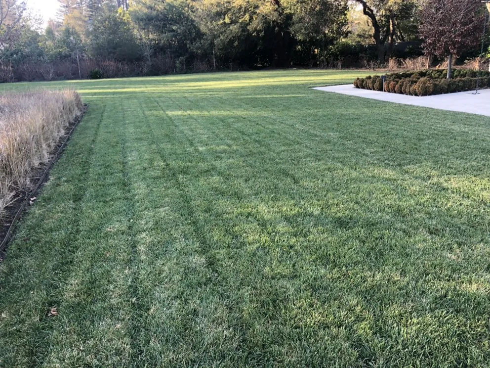 Local lawn care service for homes in Redwood City, CA by Ray’s Gardening Service