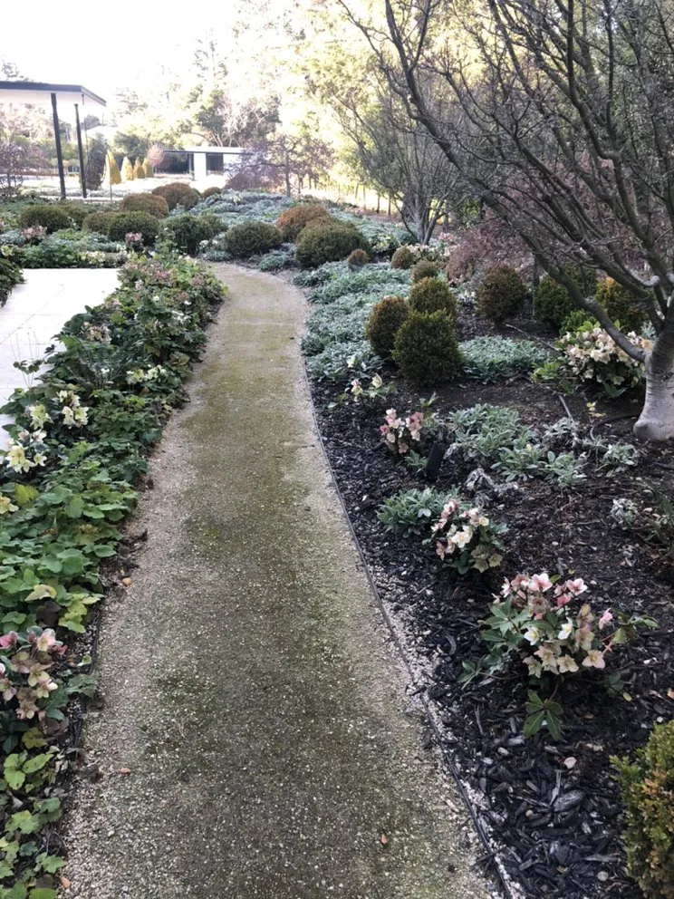 Affordable landscaping services experts serving Redwood City, CA - Ray’s Gardening Service