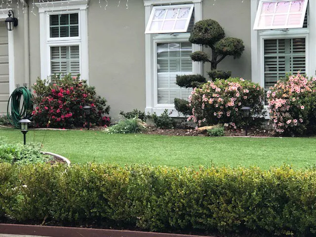Expert yard maintenance experts serving Redwood City, CA - Ray’s Gardening Service