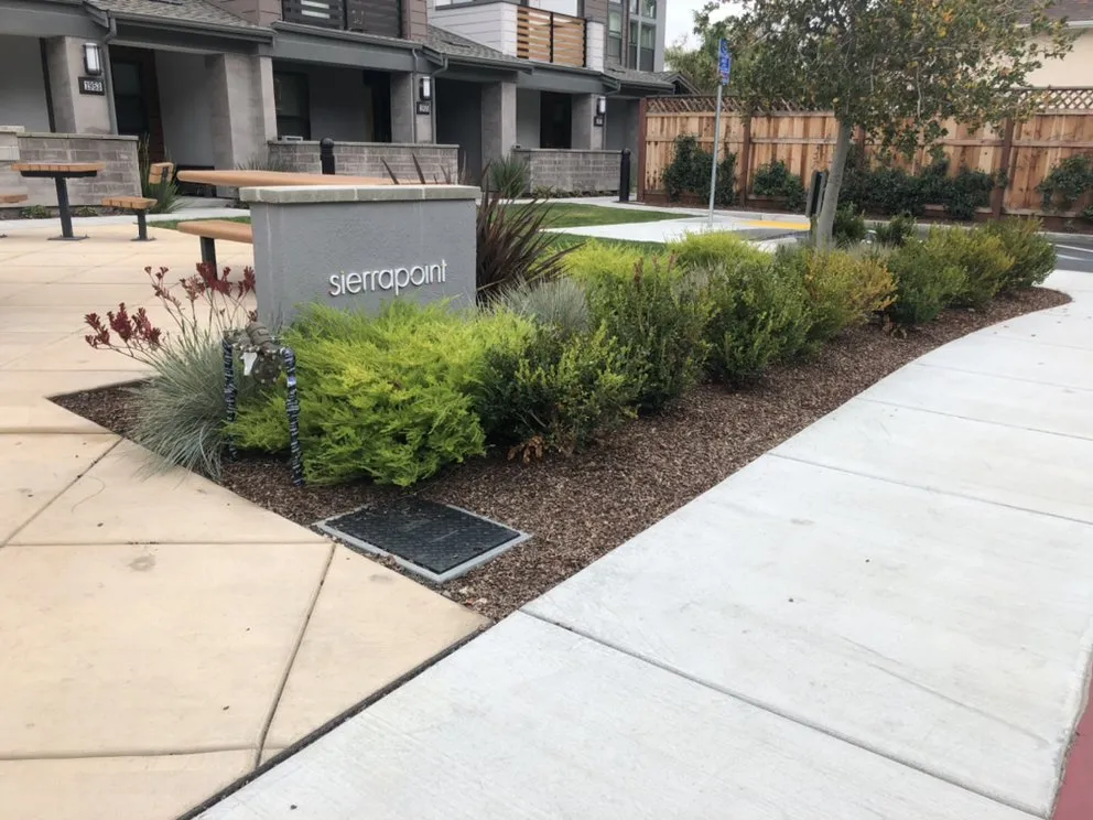 Trusted yard cleanup service in Redwood City, CA - Ray’s Gardening Service