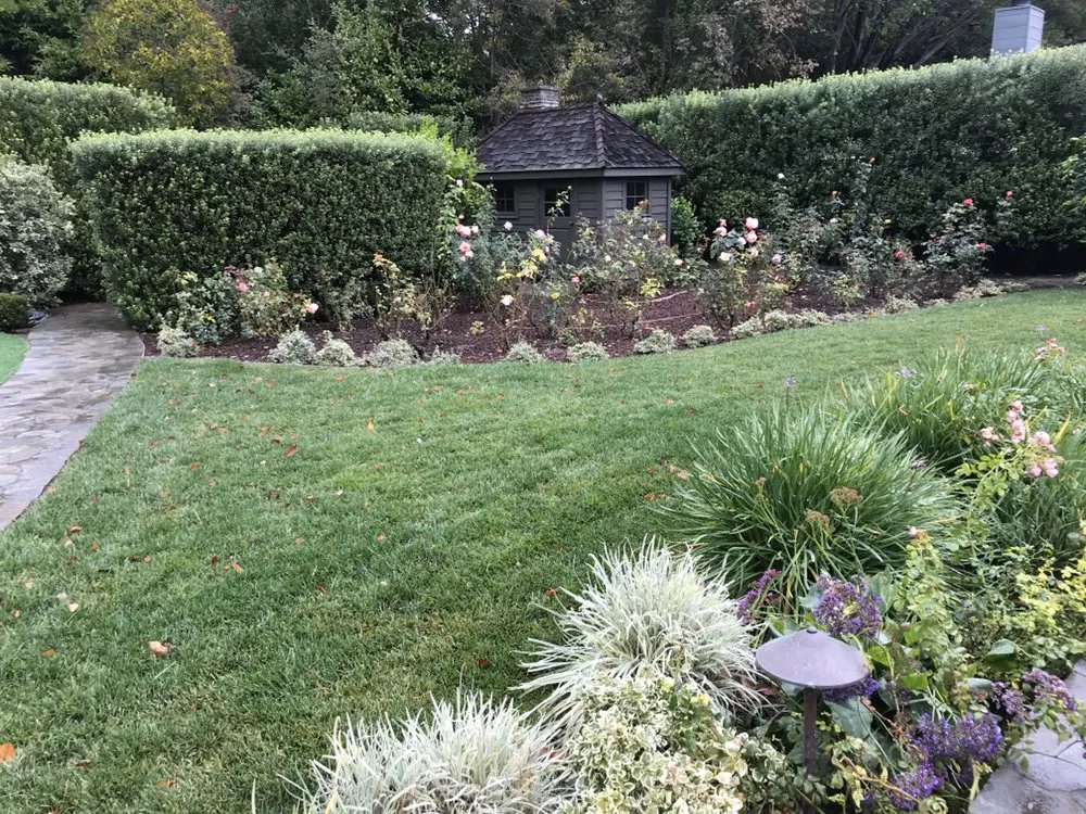Trusted yard maintenance in Redwood City, CA - Ray’s Gardening Service