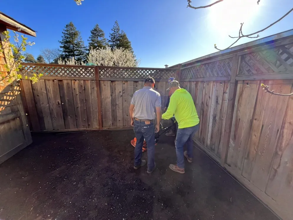 Trusted yard cleanup service in Redwood City, CA by Ray’s Gardening Service