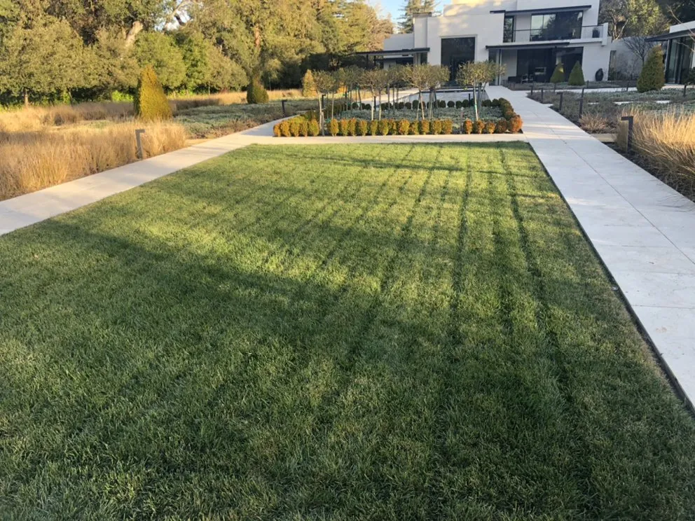 Professional yard cleanup service near you across Redwood City, CA - Ray’s Gardening Service