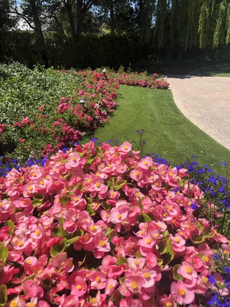 Reliable landscaping services in Redwood City, CA by Ray’s Gardening Service